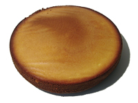 Bisquit